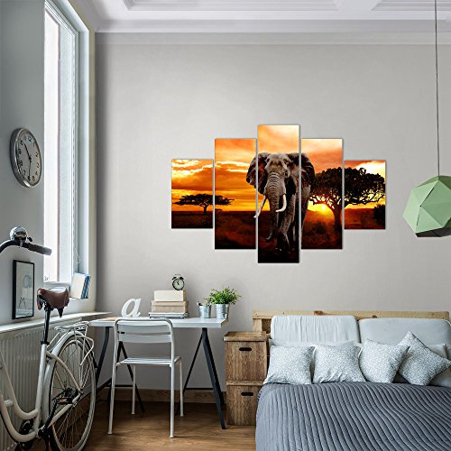 Afrika Elefant Bild Kunstdruck Auf Vlies Leinwand Af Mirai Trading